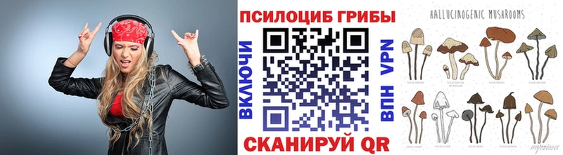Псилоцибиновые грибы мухоморы  Александров 